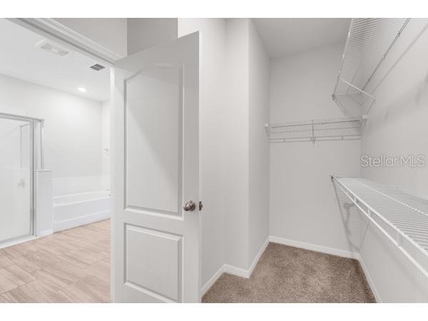 2398 Greenwood Oak Drive Ocoee FL 34761 P4937523 image19