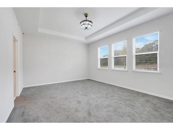 2398 Greenwood Oak Drive Ocoee FL 34761 P4937523 image20