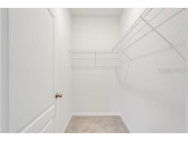 2398 Greenwood Oak Drive Ocoee FL 34761 P4937523 image27