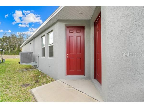 2398 Greenwood Oak Drive Ocoee FL 34761 P4937523 image28