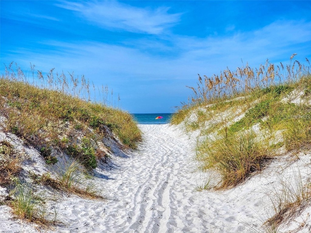 24 Avalon Street #802 Clearwater FL 33767 TB8462383 image36