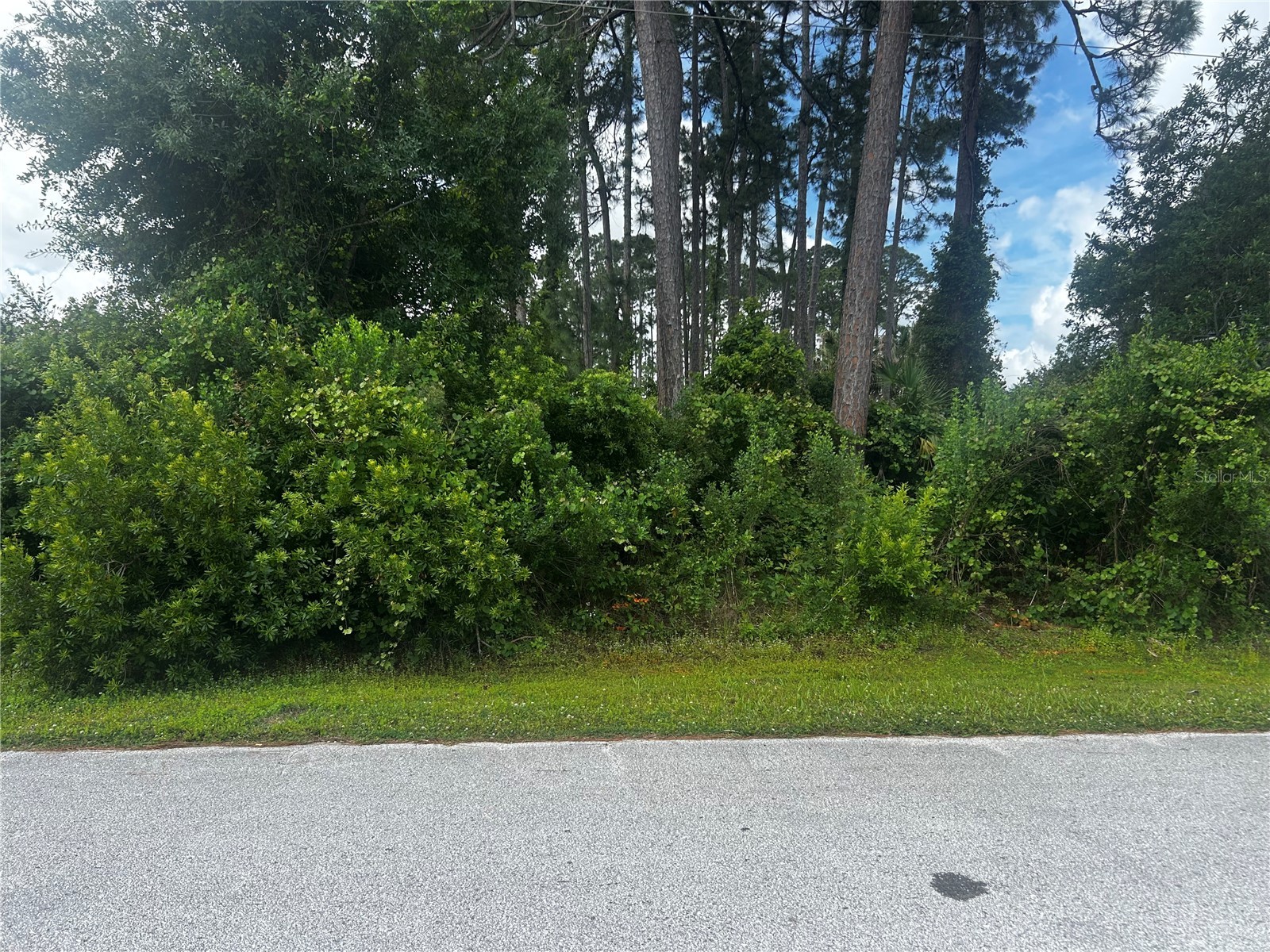 24 Bannerwood Lane Palm Coast FL 32137 FC318248 image1