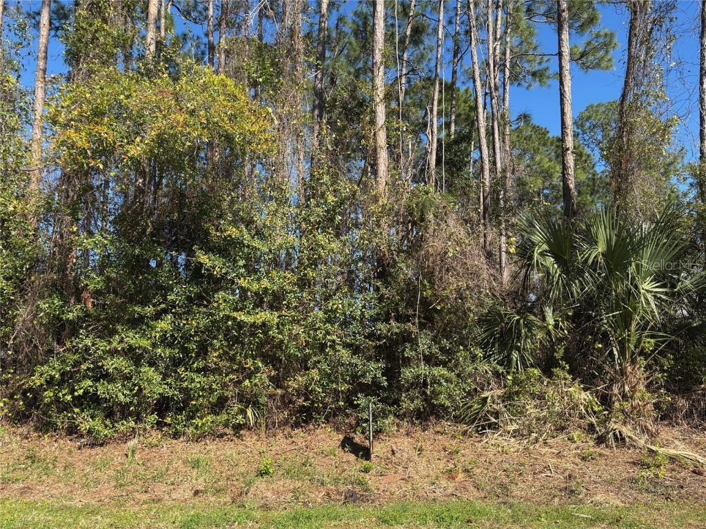 24 Brigadoon Lane Palm Coast FL 32137 FC308002 image1