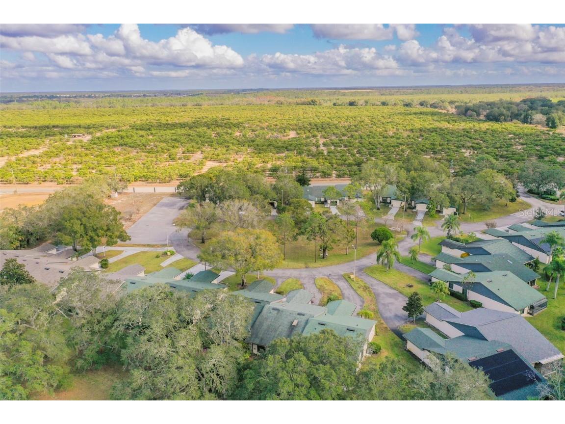 24 Buck Circle Haines City FL 33844 L4958294 image18