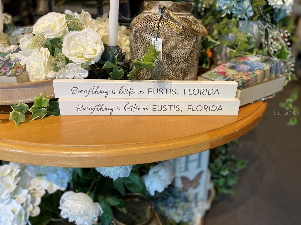 24 E Magnolia Avenue #5 Eustis FL 32726 G5096024 image26