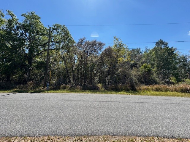 24 Elm Loop Ocala FL 34472 OM697818 image1