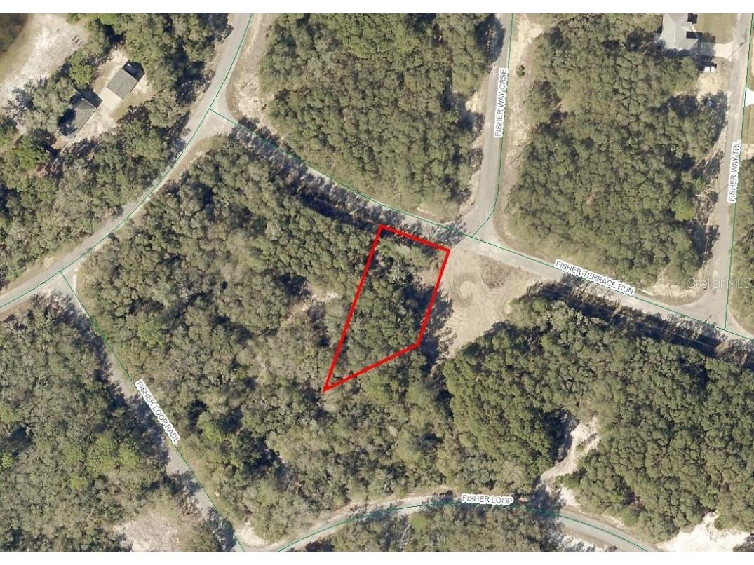 24 Fisher Terrace Run Ocklawaha FL 32179 A4643686 image1