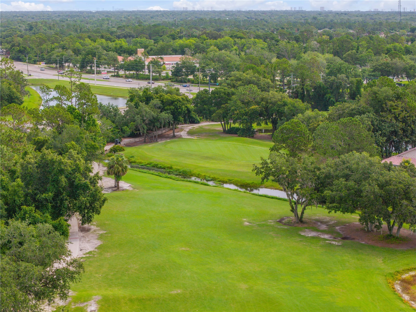 24 Golf Villa Drive Port Orange FL 32128 NS1088385 image34