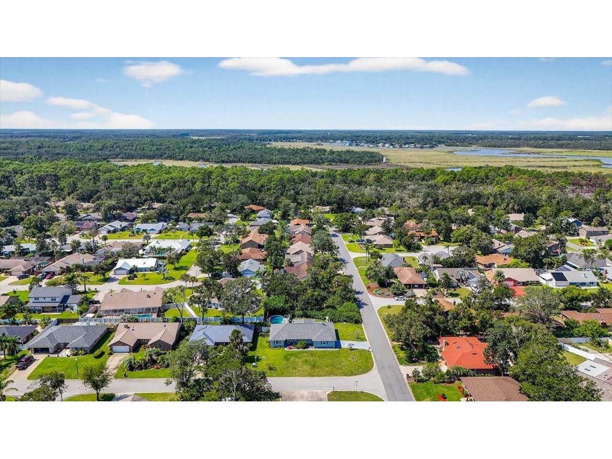 24 Heather Lane Ormond Beach FL 32174 V4945060 image40