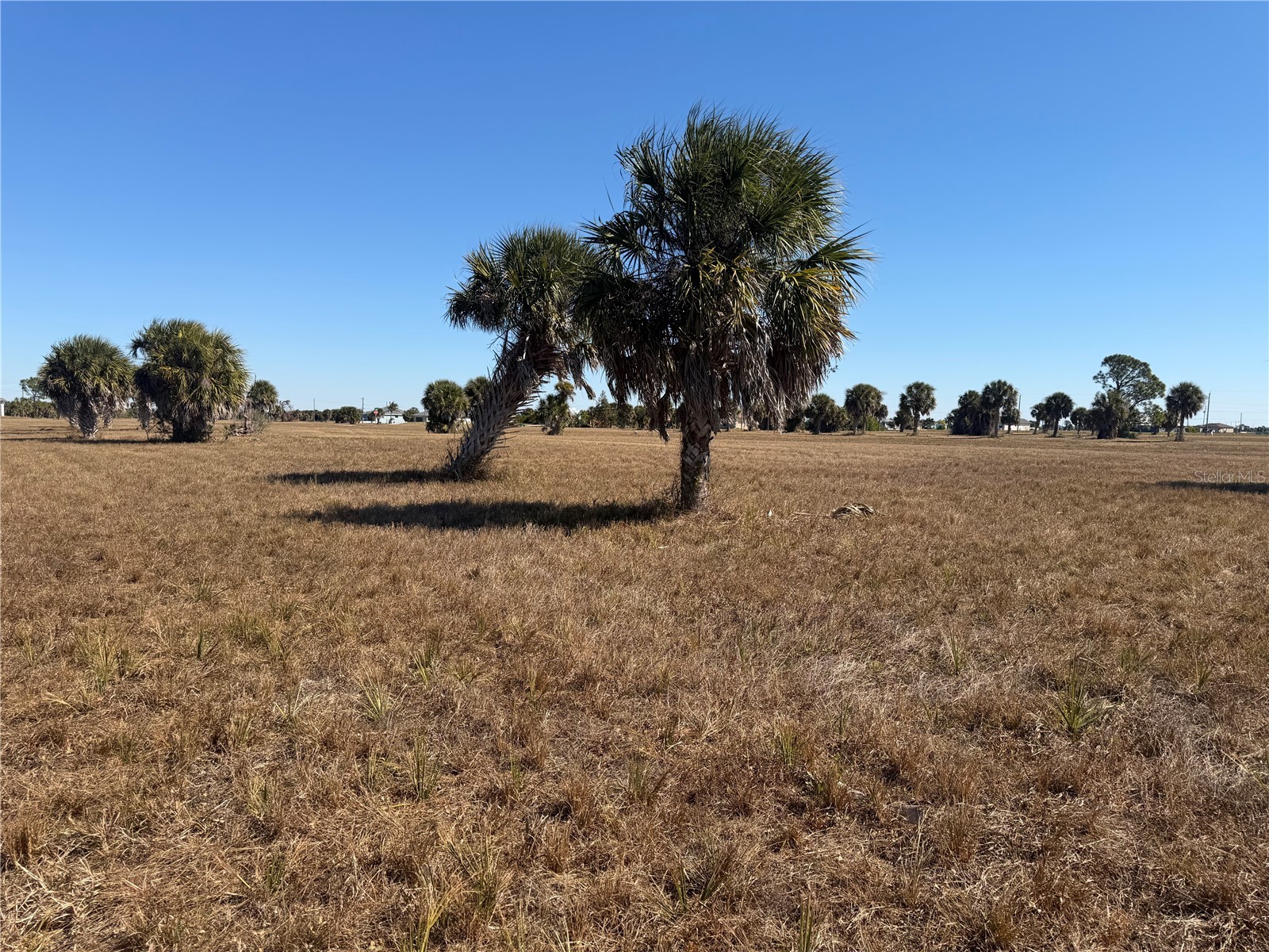 24 Lark Drive Placida FL 33946 A4680320 image4
