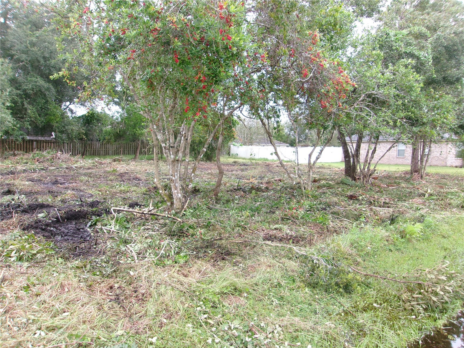 24 Lysander Lane Palm Coast FL 32137 FC313486 image1