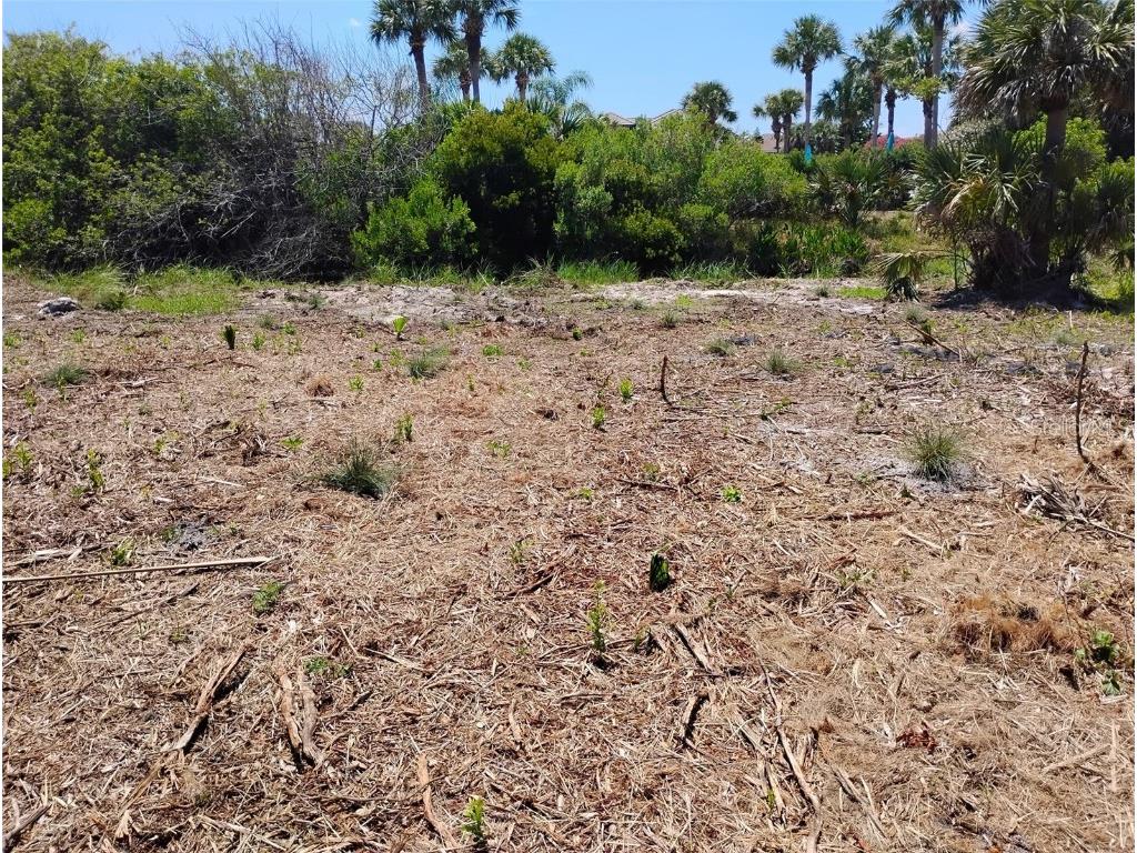 24 Mahoe Drive S Palm Coast FL 32137 O6199106 image12