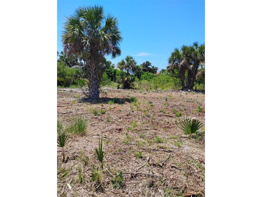 24 Mahoe Drive S Palm Coast FL 32137 O6199106 image8