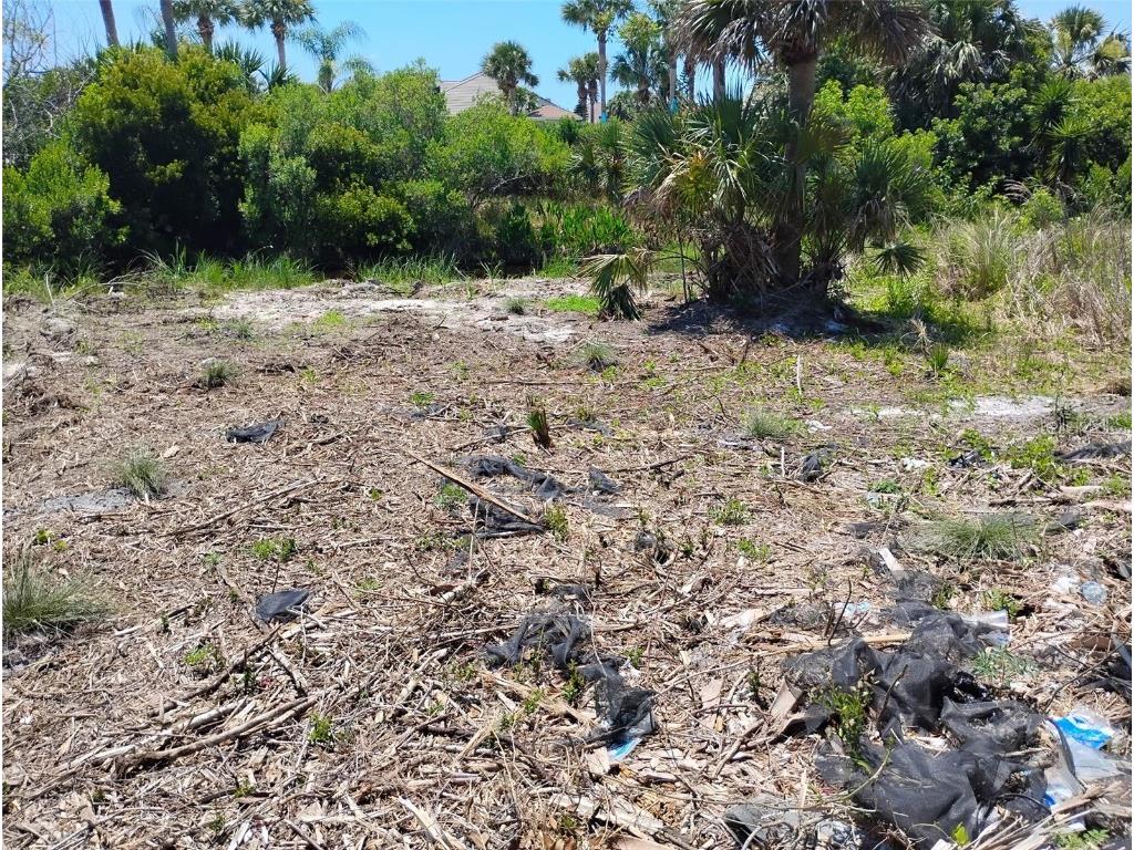 24 Mahoe Drive S Palm Coast FL 32137 O6199106 image9
