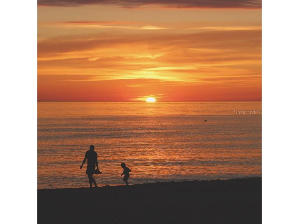 24 Marina Terrace Treasure Island FL 33706 TB8406865 image48