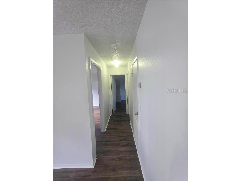 24 Palm Run Ocala FL 34472 OM713060 image5