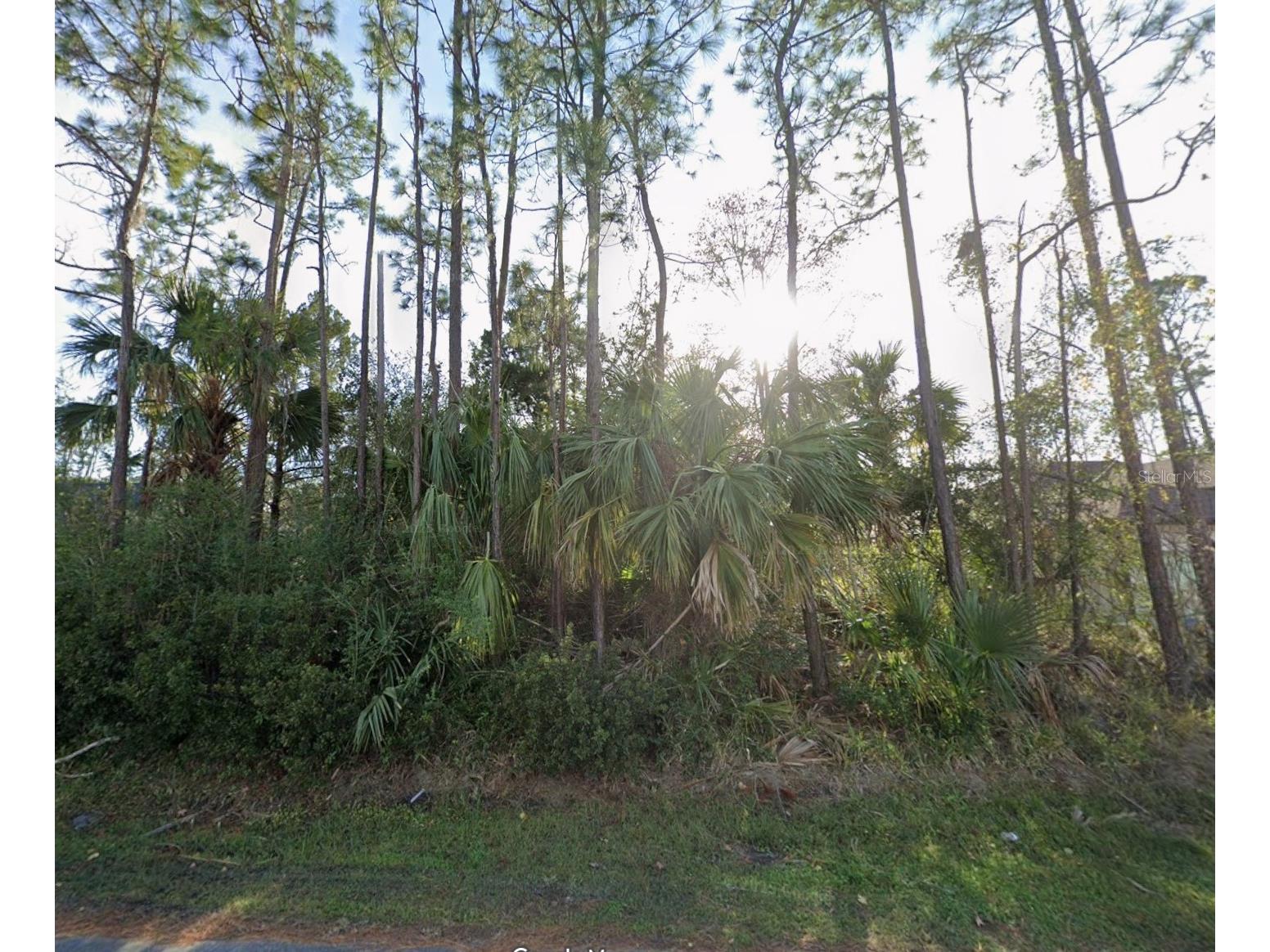 24 Pony Lane Palm Coast FL 32164 FC317151 image1