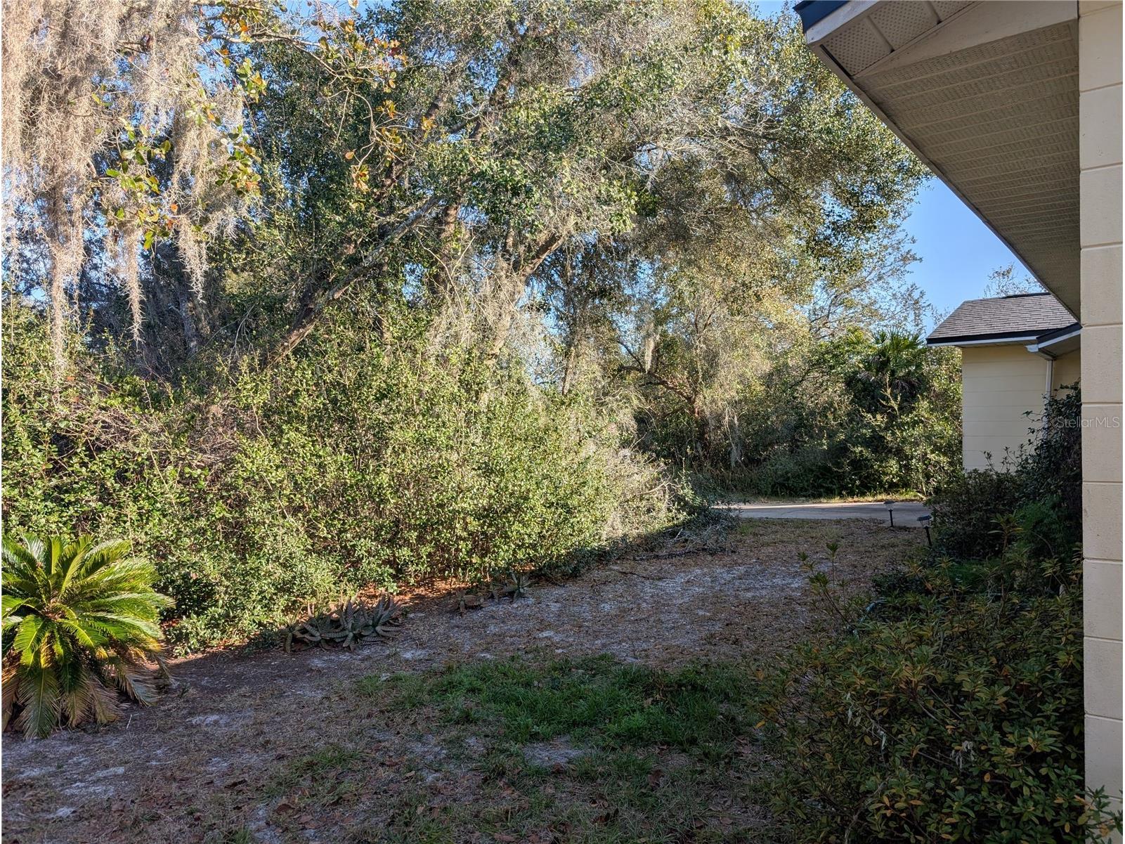 24 S Courtland Boulevard Deltona FL 32738 O6380868 image11