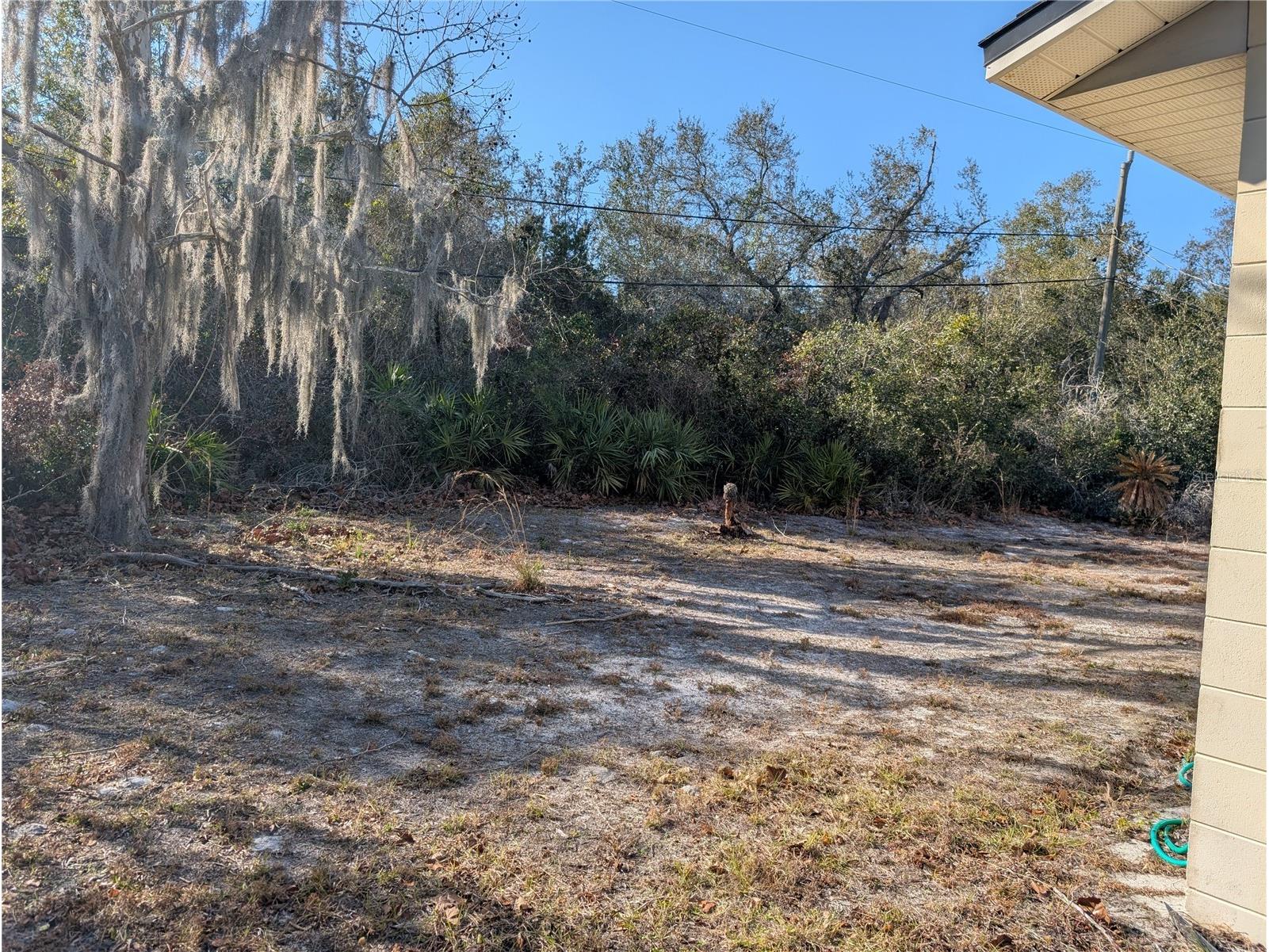 24 S Courtland Boulevard Deltona FL 32738 O6380868 image5