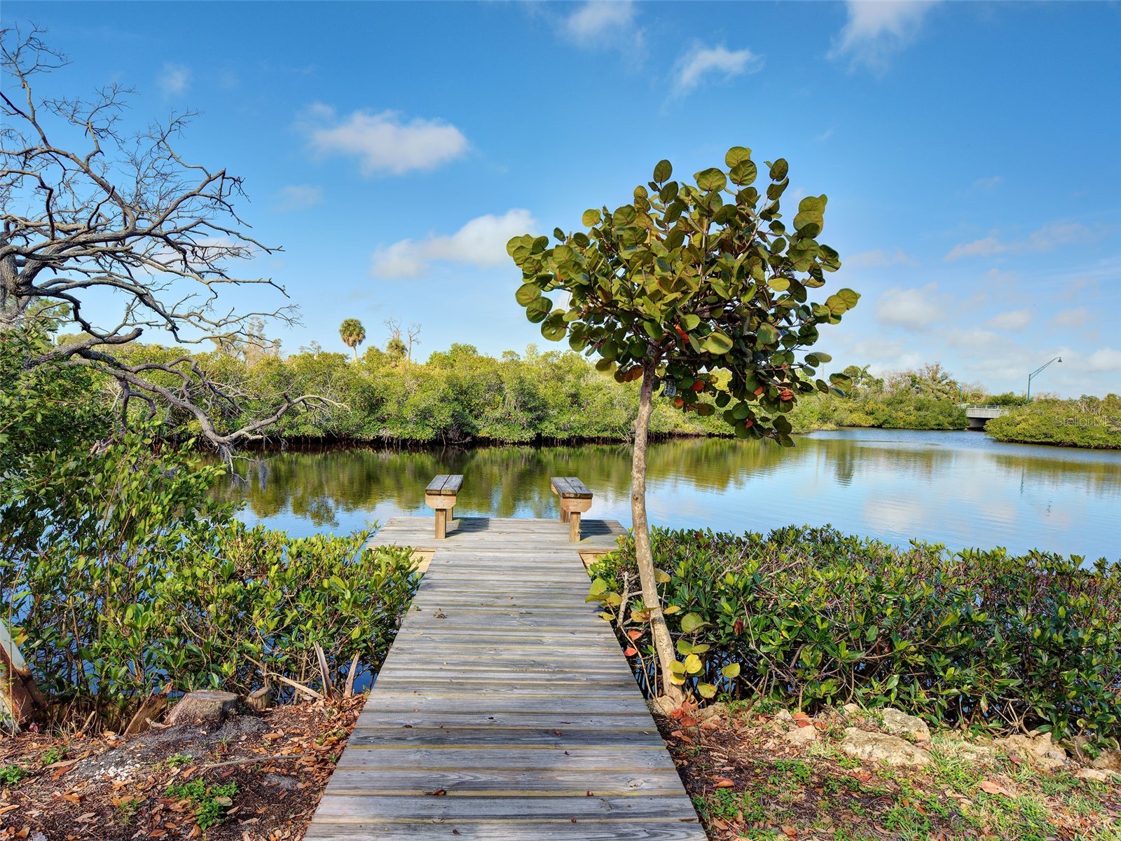 24 S Oxford Drive Englewood FL 34223 - GOTTFRIED CREEK D6146493 image14