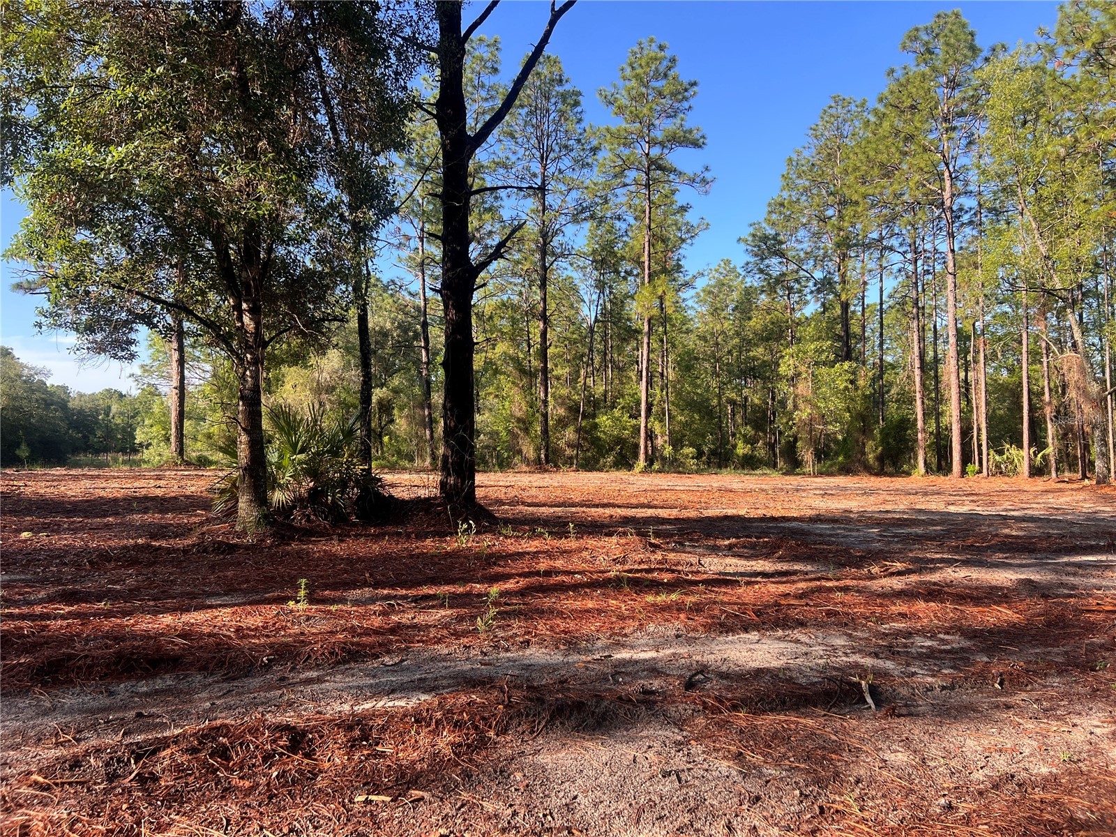 24 SE 130 Court Dunnellon FL 34431 OM721450 image1