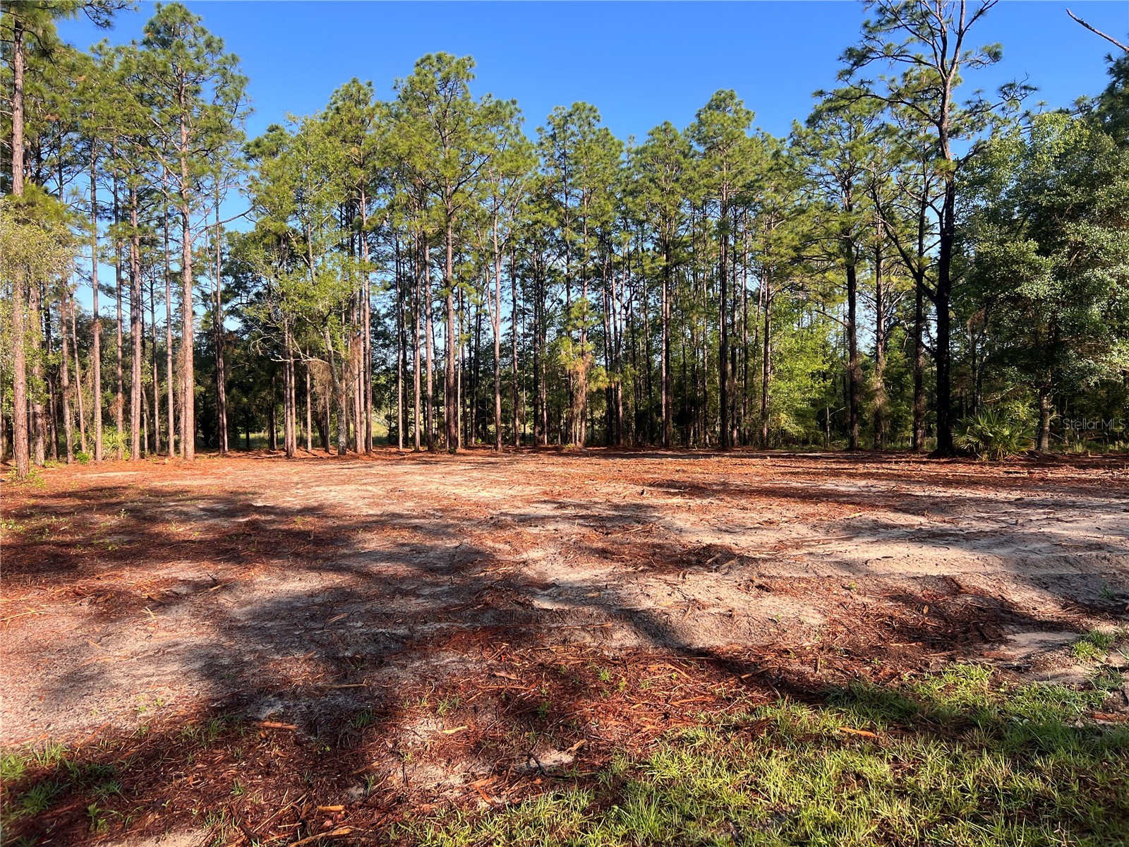 24 SE 130 Court Dunnellon FL 34431 OM721450 image10