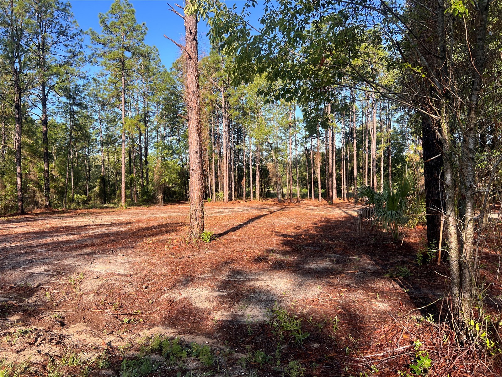 24 SE 130 Court Dunnellon FL 34431 OM721450 image11