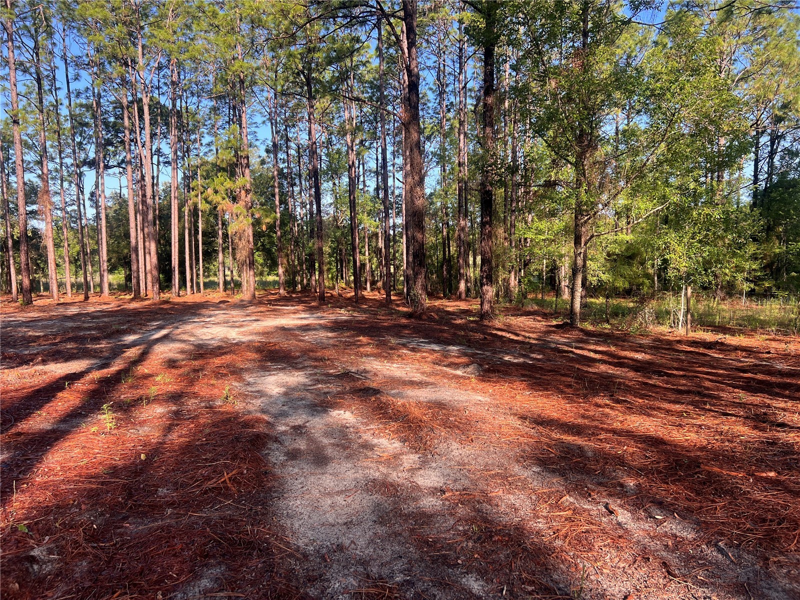 24 SE 130 Court Dunnellon FL 34431 OM721450 image12