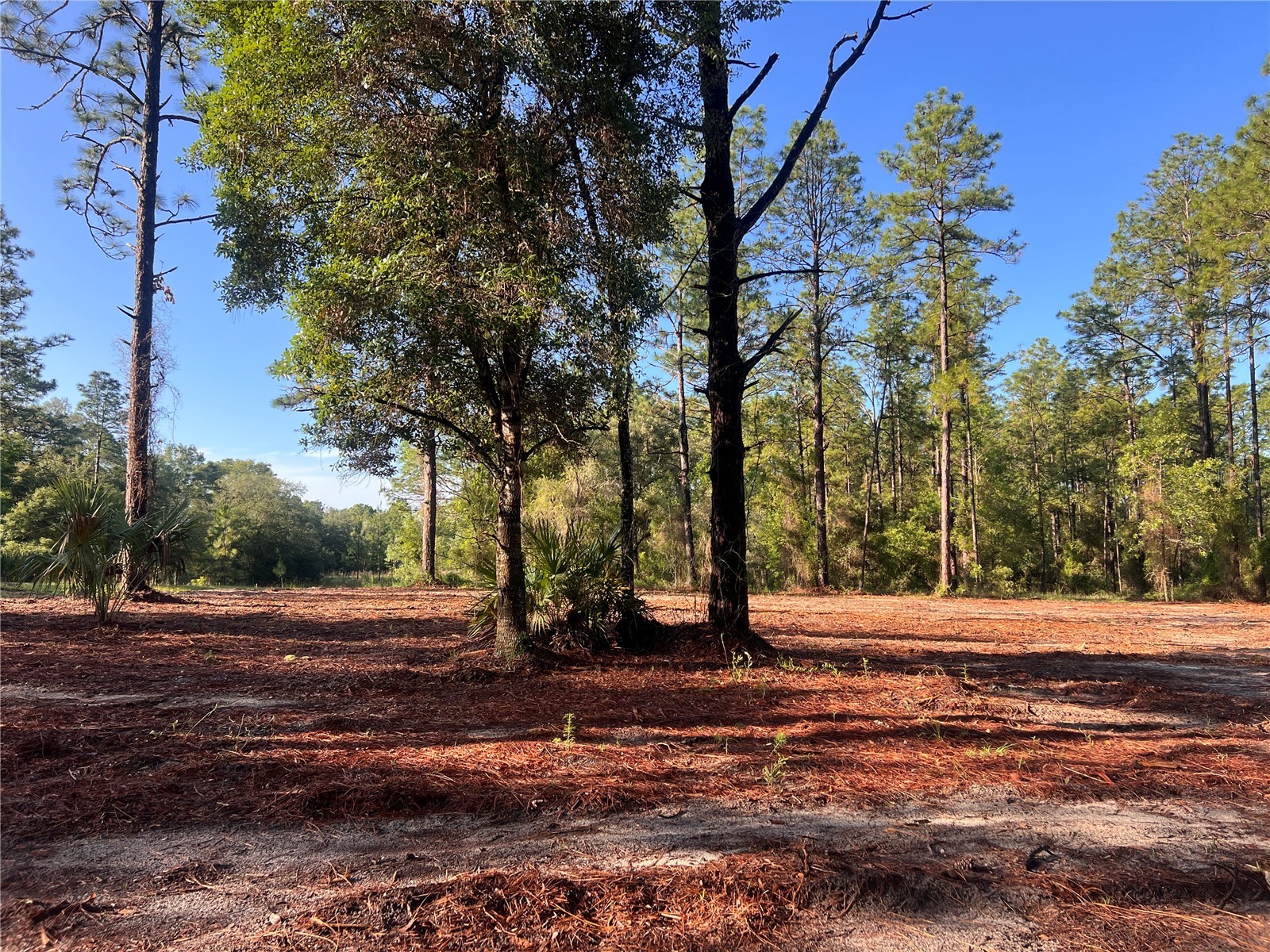 24 SE 130 Court Dunnellon FL 34431 OM721450 image13