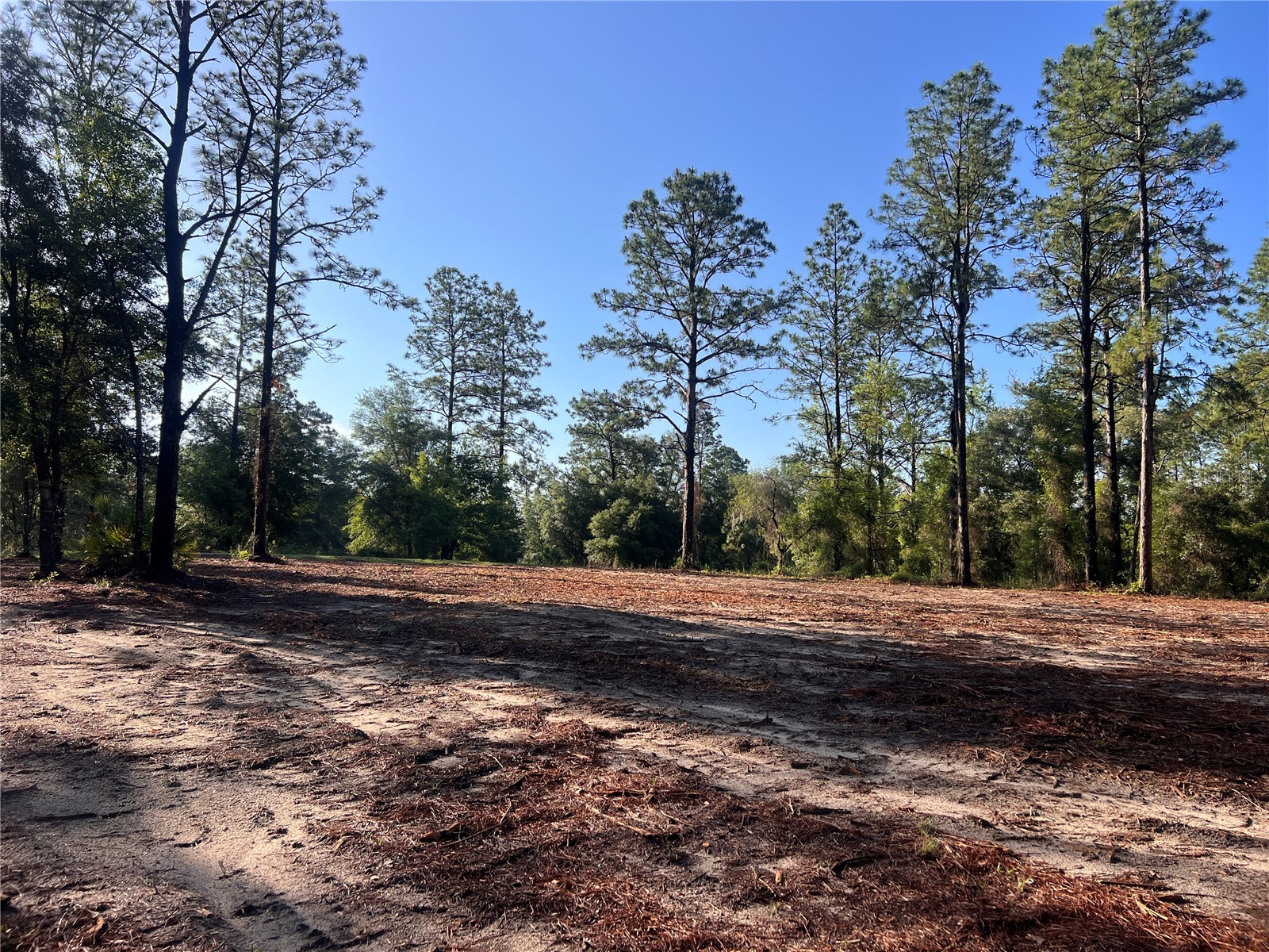 24 SE 130 Court Dunnellon FL 34431 OM721450 image14