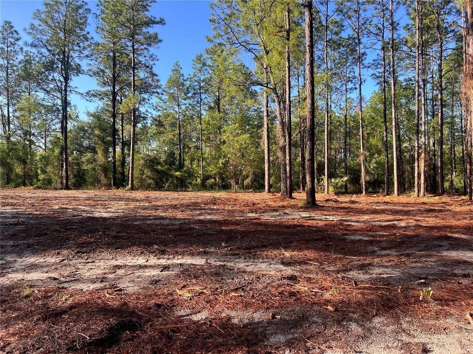 24 SE 130 Court Dunnellon FL 34431 OM721450 image15