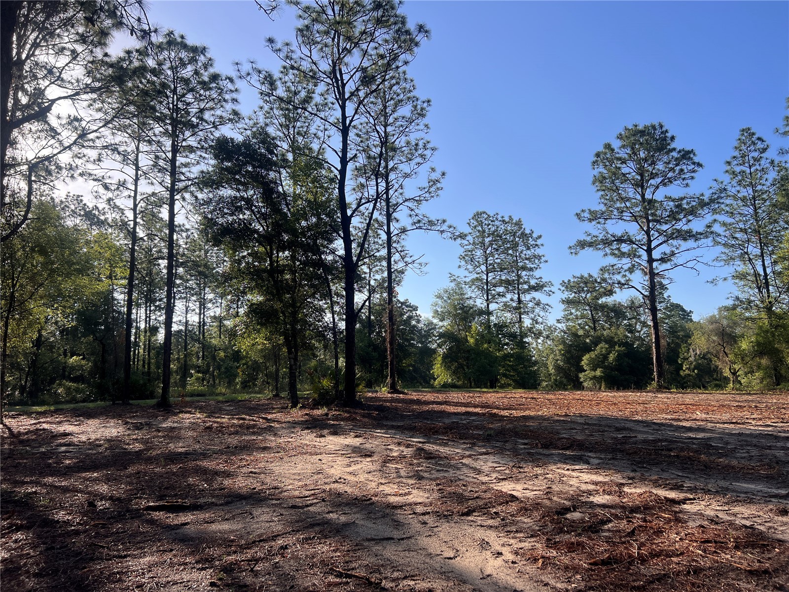 24 SE 130 Court Dunnellon FL 34431 OM721450 image17