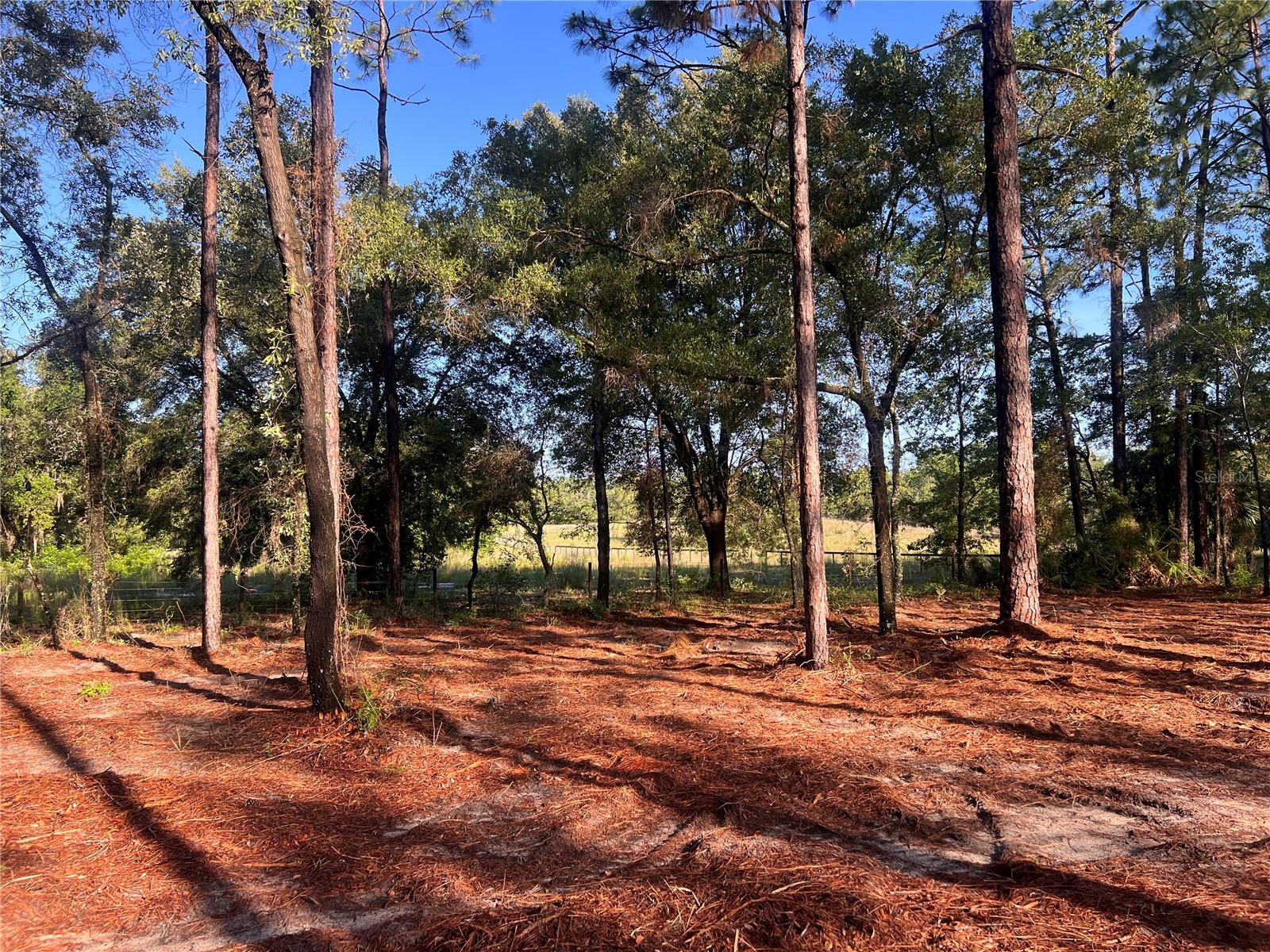 24 SE 130 Court Dunnellon FL 34431 OM721450 image2