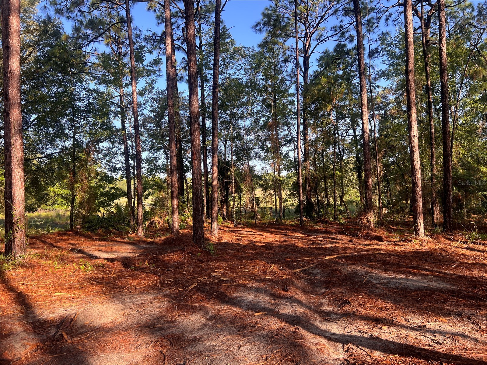 24 SE 130 Court Dunnellon FL 34431 OM721450 image20