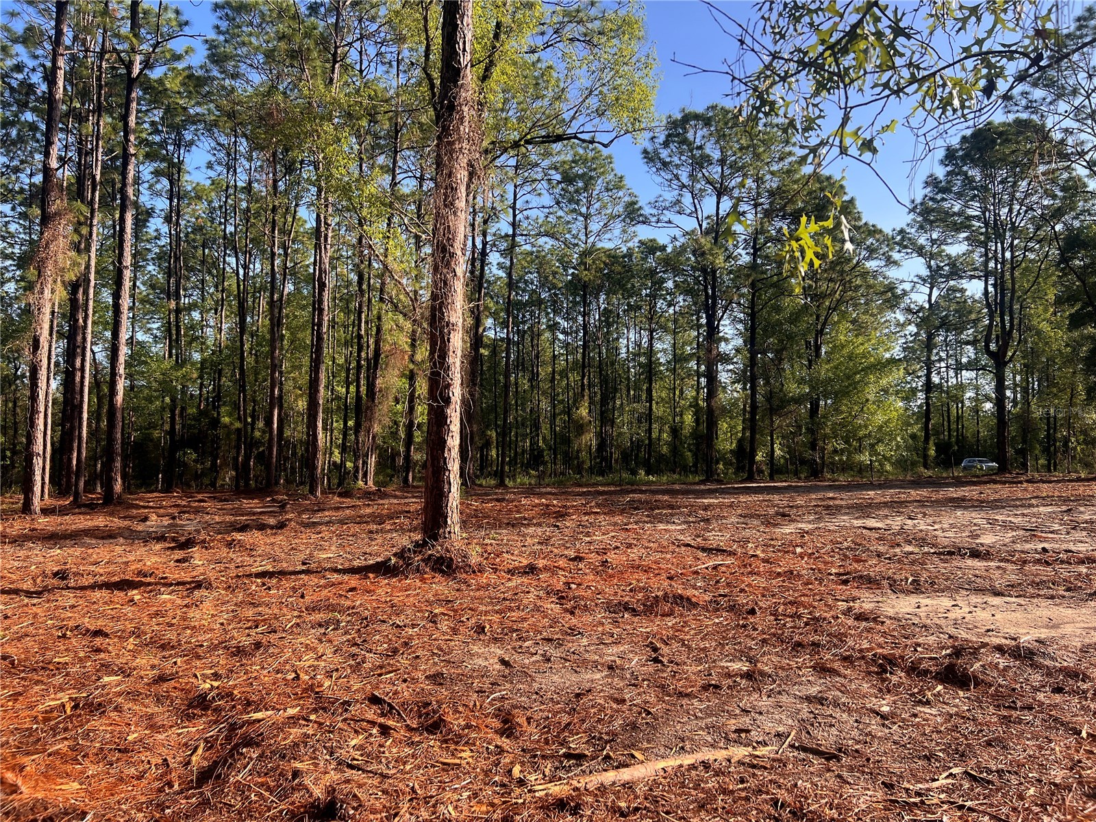 24 SE 130 Court Dunnellon FL 34431 OM721450 image24