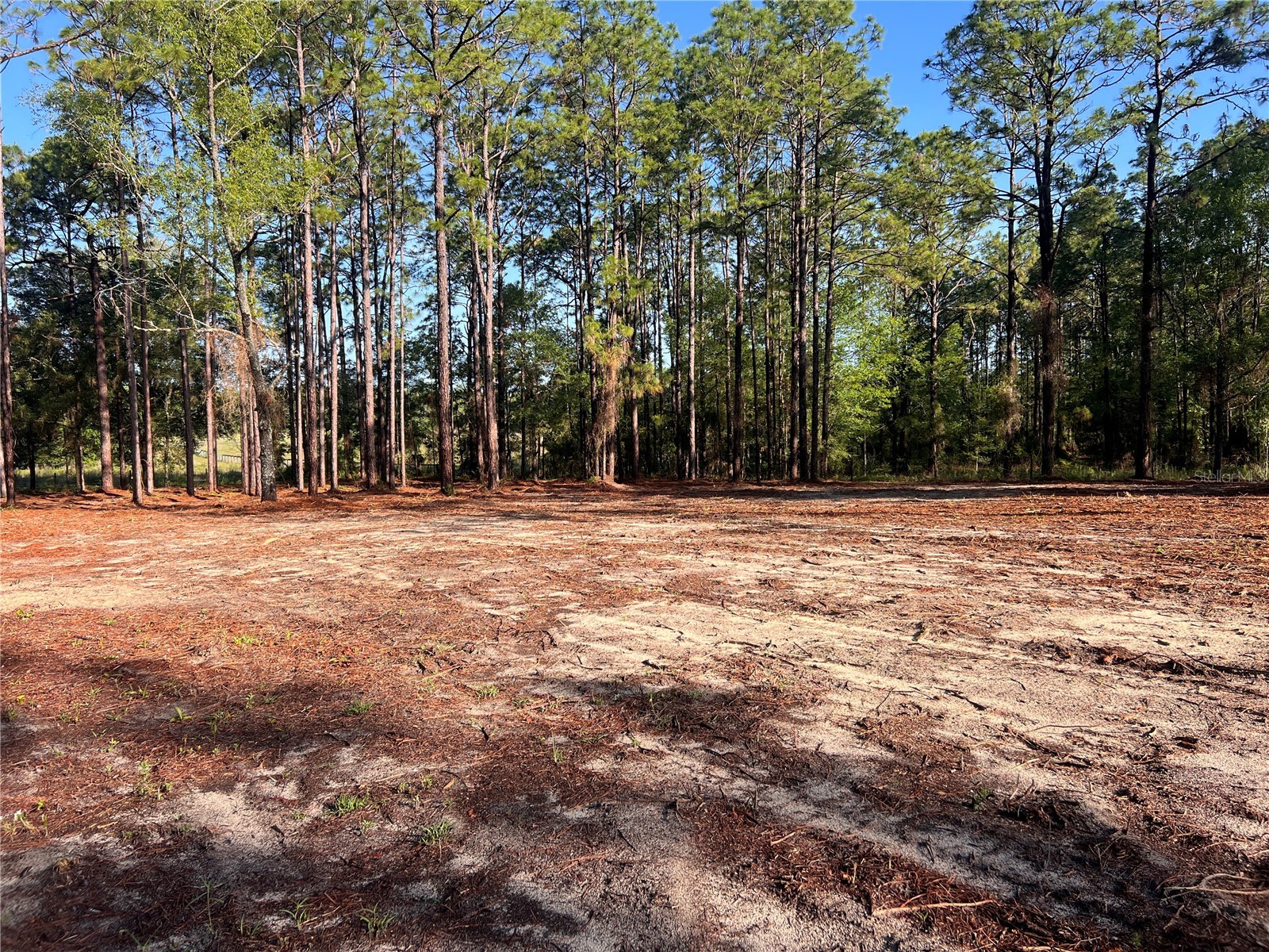 24 SE 130 Court Dunnellon FL 34431 OM721450 image25