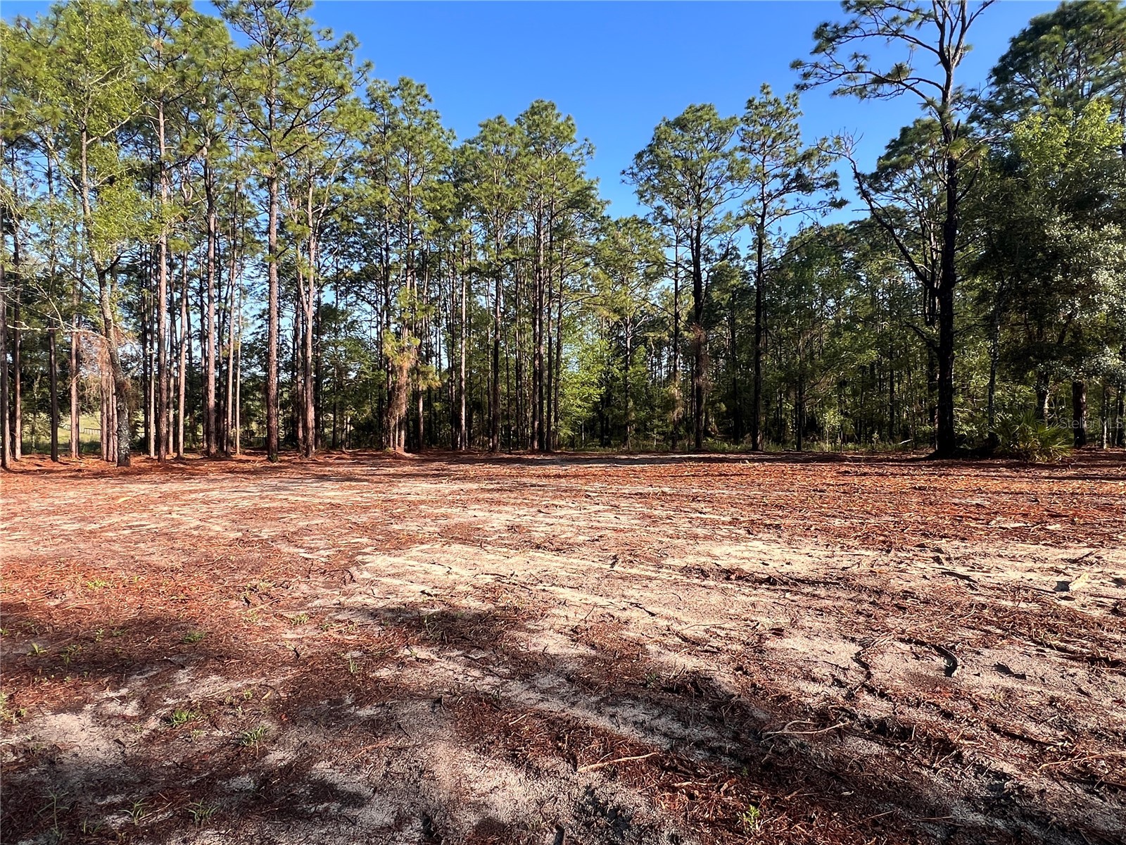 24 SE 130 Court Dunnellon FL 34431 OM721450 image26