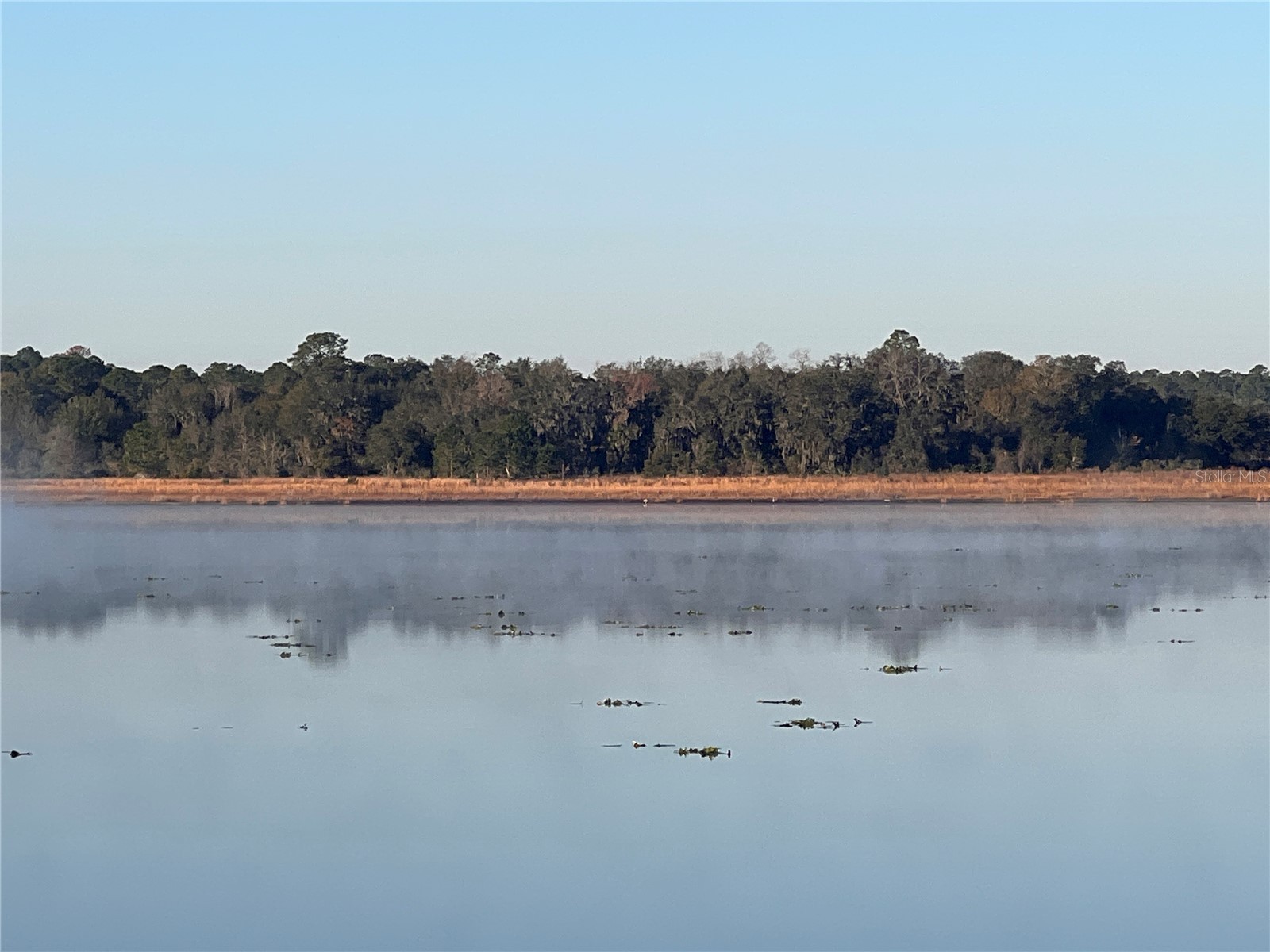 24 SE 130 Court Dunnellon FL 34431 OM721450 image30