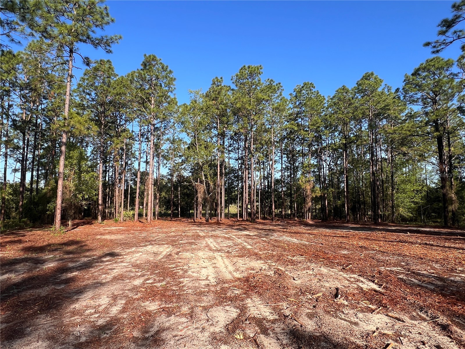 24 SE 130 Court Dunnellon FL 34431 OM721450 image6