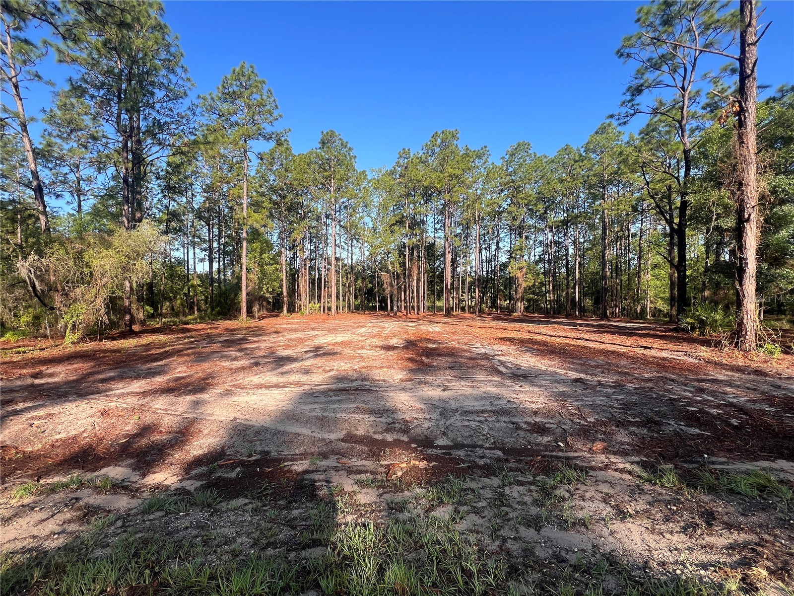 24 SE 130 Court Dunnellon FL 34431 OM721450 image7