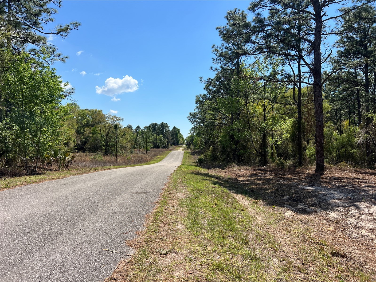 24 SE 130 Court Dunnellon FL 34431 OM721450 image8