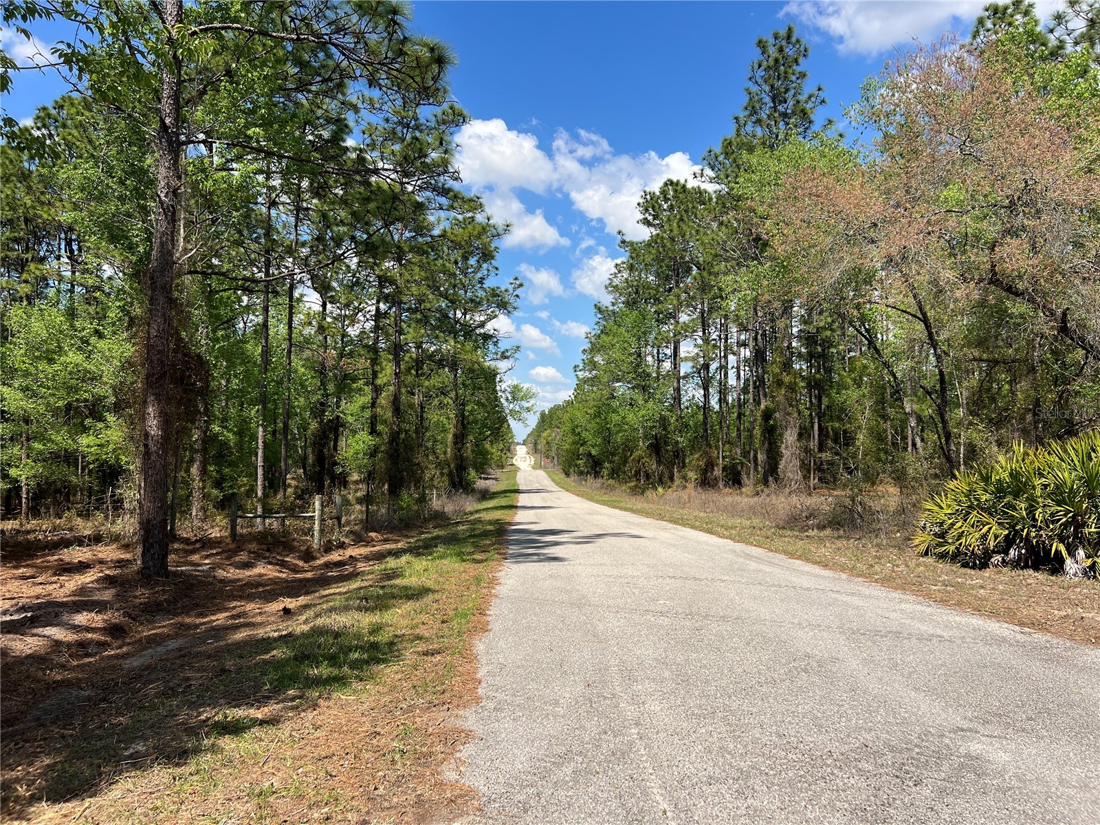 24 SE 130 Court Dunnellon FL 34431 OM721450 image9