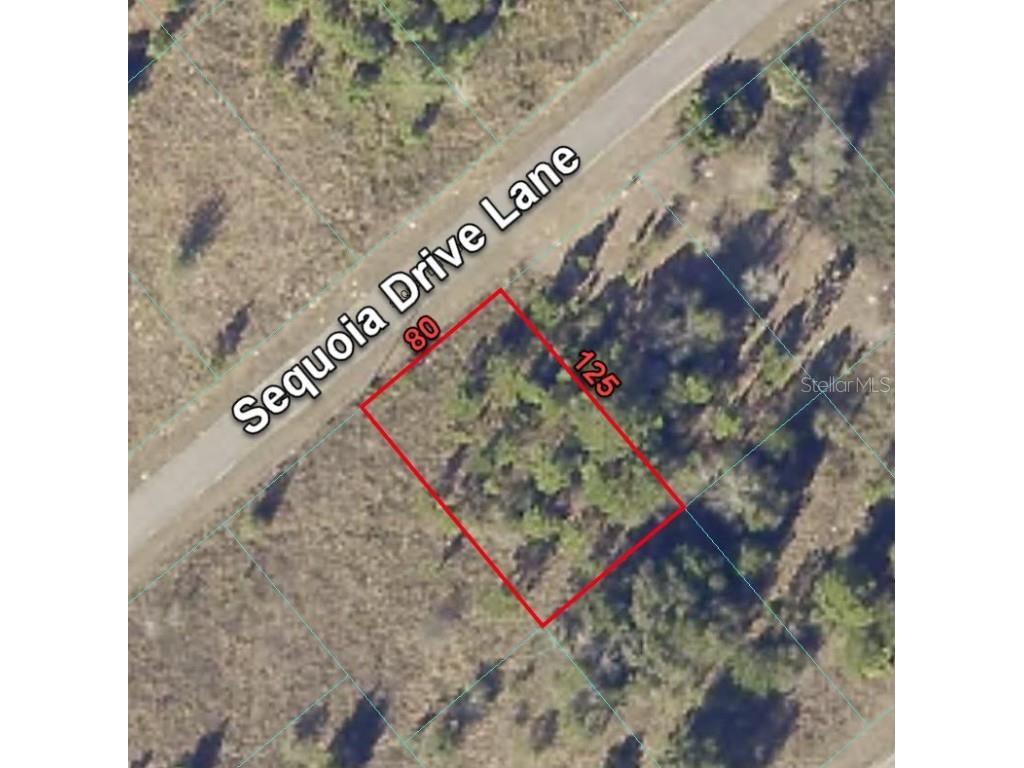 24 Sequoia Drive Lane Ocklawaha FL 32179 O6138614 image1