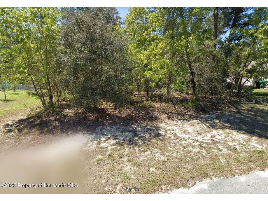 24 Statice Court Homosassa FL 34446 W7863205 image1