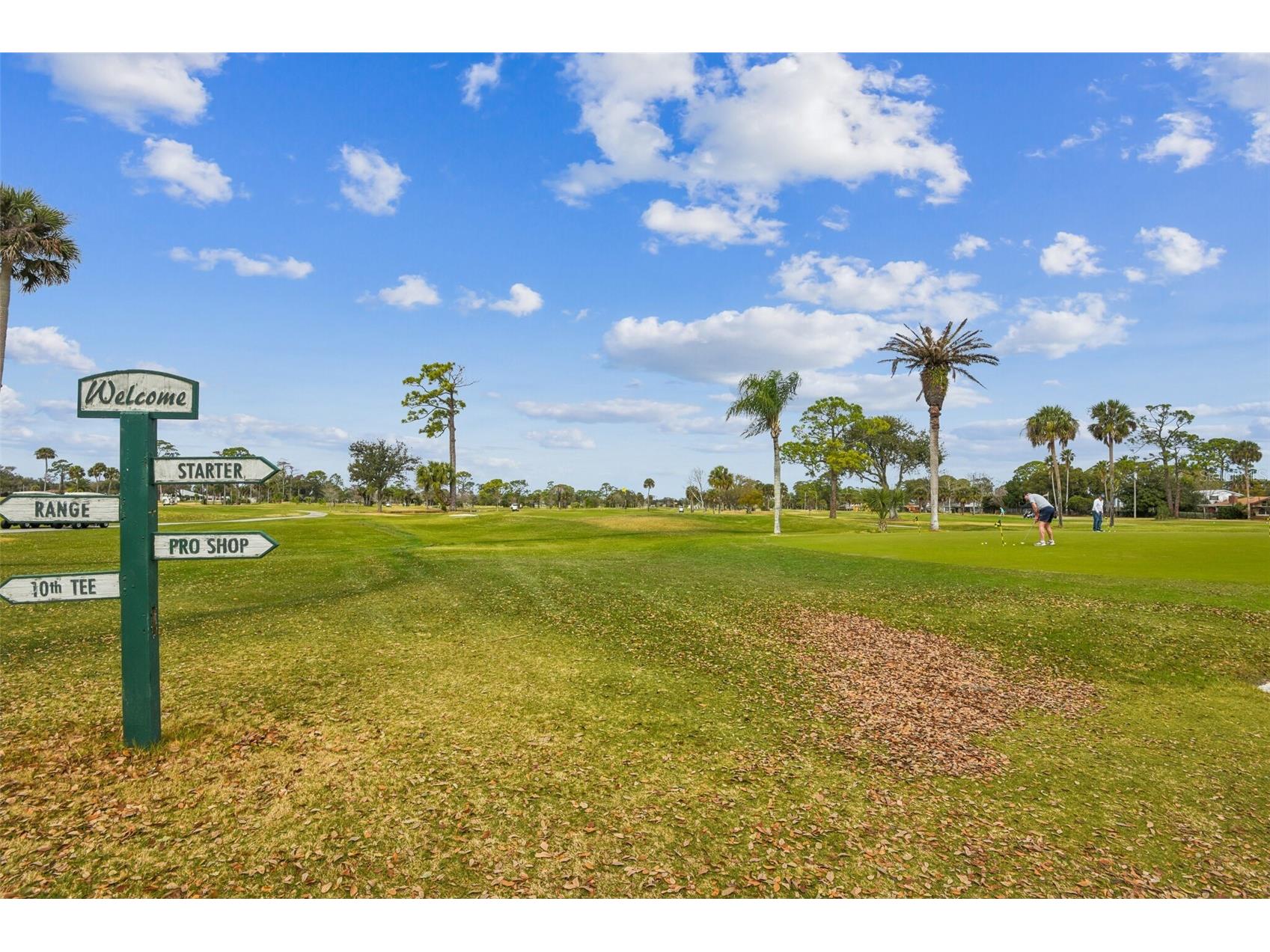 24 Stymie Lane New Smyrna Beach FL 32168 O6363301 image35