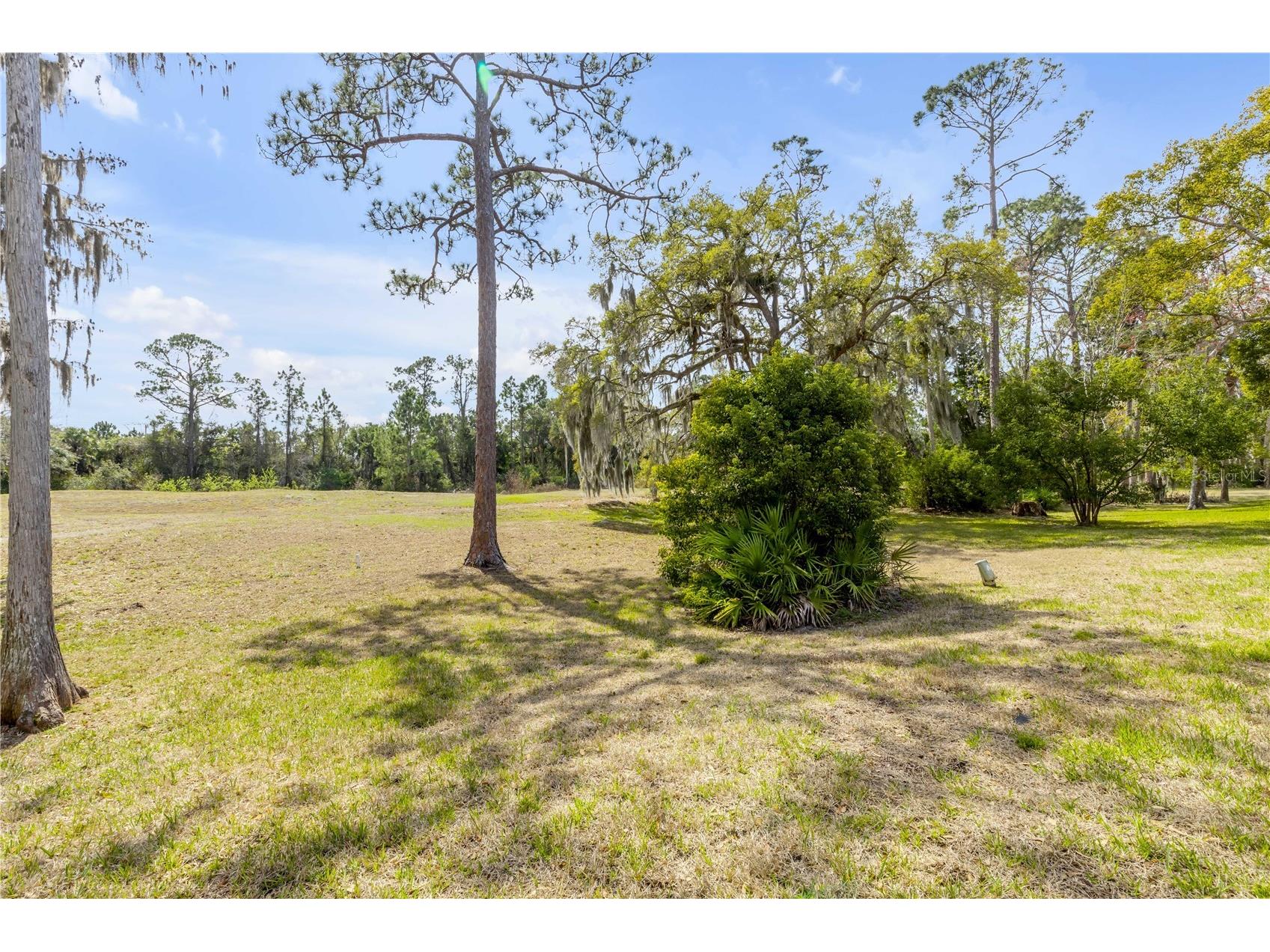 240 Bob White Court #240 Daytona Beach FL 32119 NS1087527 image35