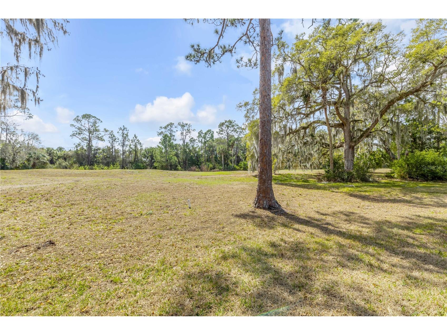 240 Bob White Court #240 Daytona Beach FL 32119 NS1087527 image37