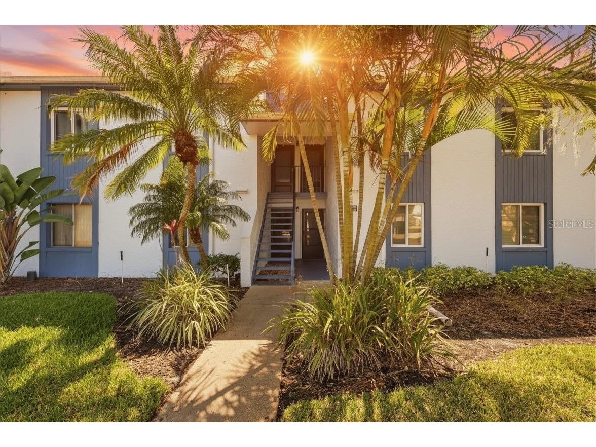 240 Cypress Lane #240 Oldsmar FL 34677 TB8481270 image1