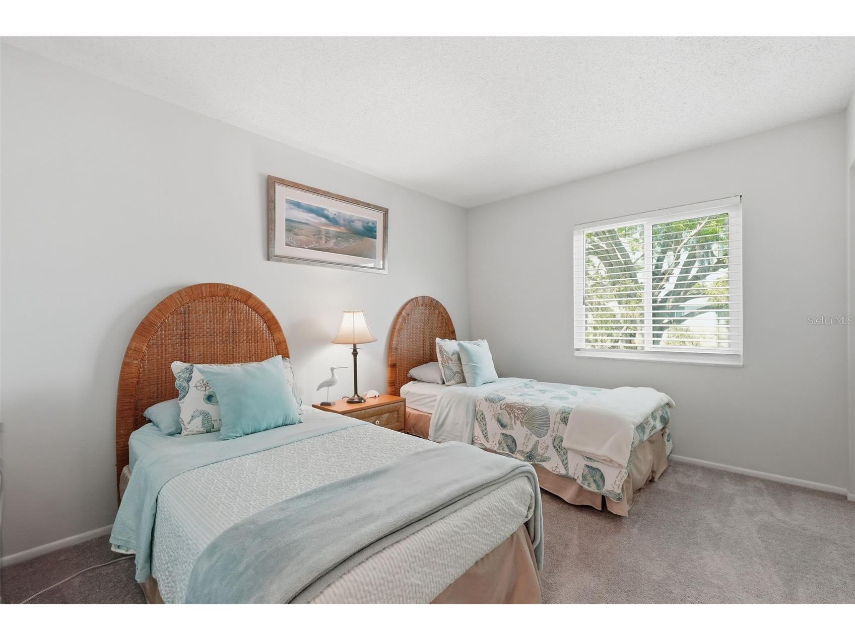 240 Cypress Lane #240 Oldsmar FL 34677 TB8481270 image13