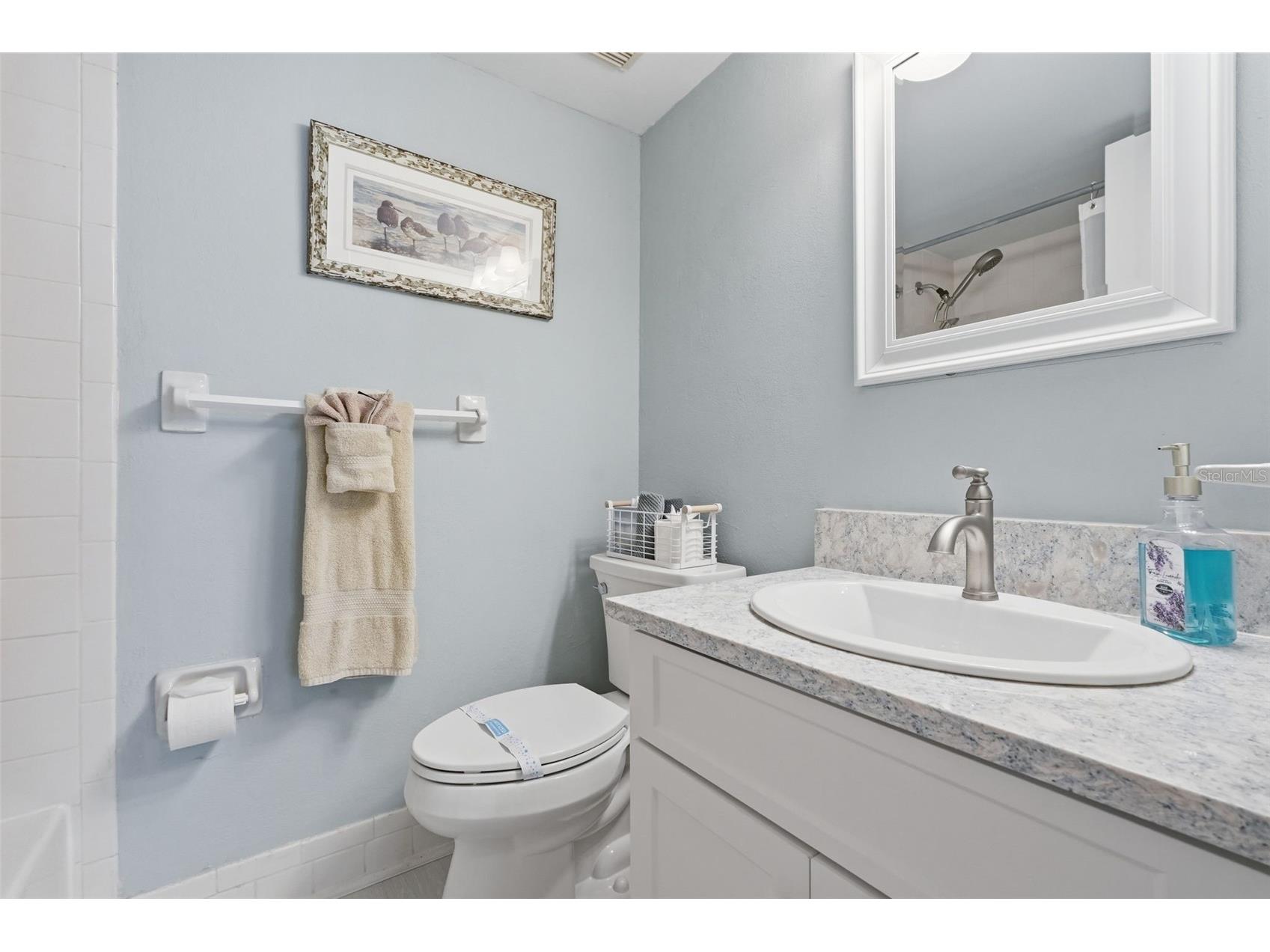 240 Cypress Lane #240 Oldsmar FL 34677 TB8481270 image16